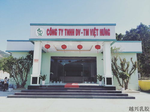 越南旅游带起科技产品 越兴集团乳胶产业