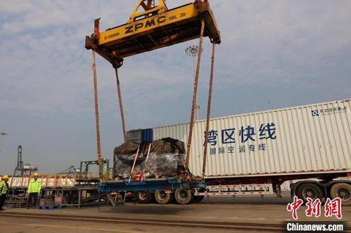 东莞 香港国际空港中心为 湾区制造 构建全球物流通道