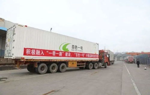 我市冷链物流发展成效明显,助推百色绿色果蔬产品 走出去