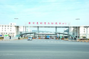 着力打造国际有影响的农副产品物流集散中心