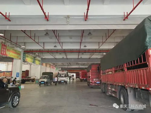 风雨同舟,共抗疫情 三科农商城为重庆抗疫加油,与大家共渡难关 农产品 物流 农副产品 网易订阅