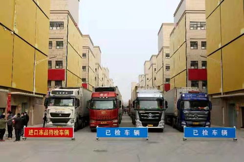 中原四季水产物流港 进口冷链食品管控忙，兴翔物流助力安全流通