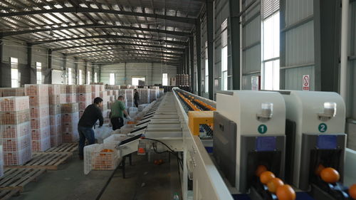 菜鸟物流科技下乡助力寻乌农产品进城，快递进村自动化升级兴翔物流