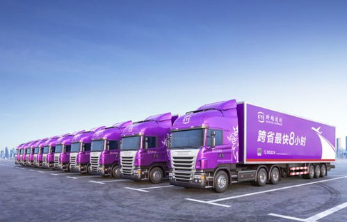 跨越物流销售 合作回忆与行业洞察